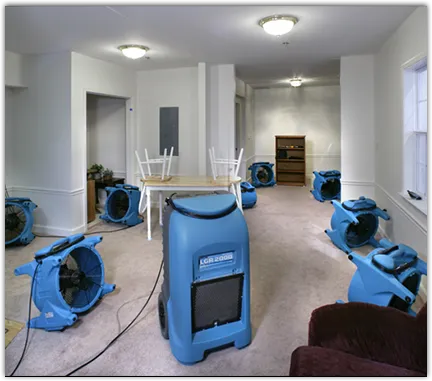 Water Damage Restoration services in Madera Ranchos, CA