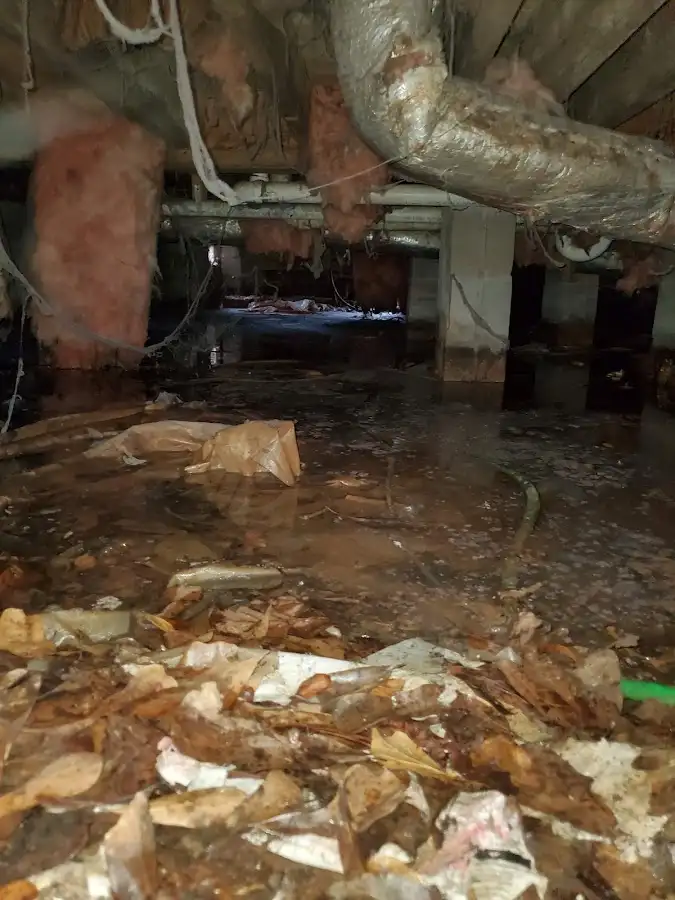 Crawl space flood assessment for Commercial Water Damage Restoration in Madera Ranchos